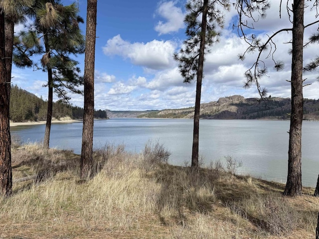 42078 N Porcupine Bay Rd, Davenport, WA 99122 - photo 8