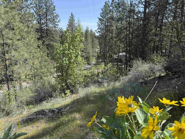 42078 N Porcupine Bay Rd, Davenport, WA 99122