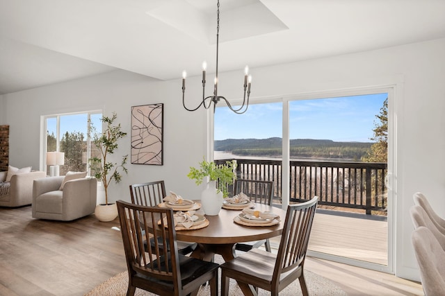6712 C Highway 291, Nine Mile Falls, WA 99026 - dining room featuring light wood-style floors and a chandelier