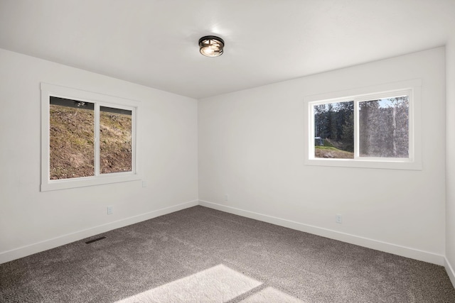 6712 C Highway 291, Nine Mile Falls, WA 99026 - carpeted empty room featuring baseboards