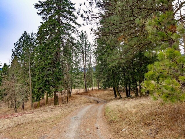 2063-A Marble Valley Basin Rd, Addy, WA 99101 - view of street