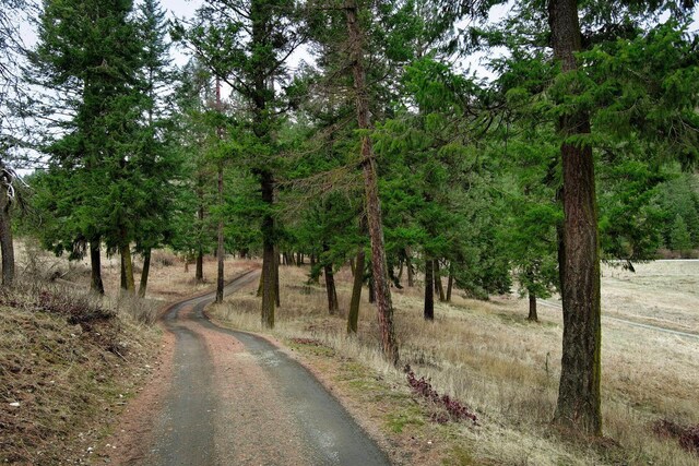 2063-A Marble Valley Basin Rd, Addy, WA 99101 - view of road