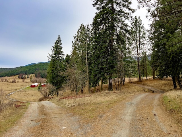 2063-A Marble Valley Basin Rd, Addy, WA 99101 - view of street featuring a wooded view