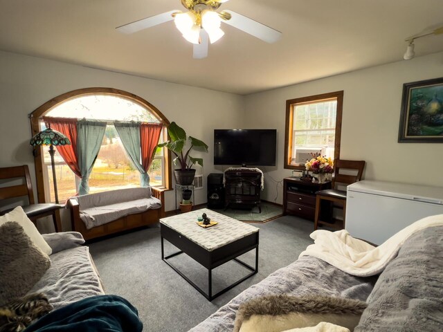 2063-A Marble Valley Basin Rd, Addy, WA 99101 - living room with carpet floors and a ceiling fan