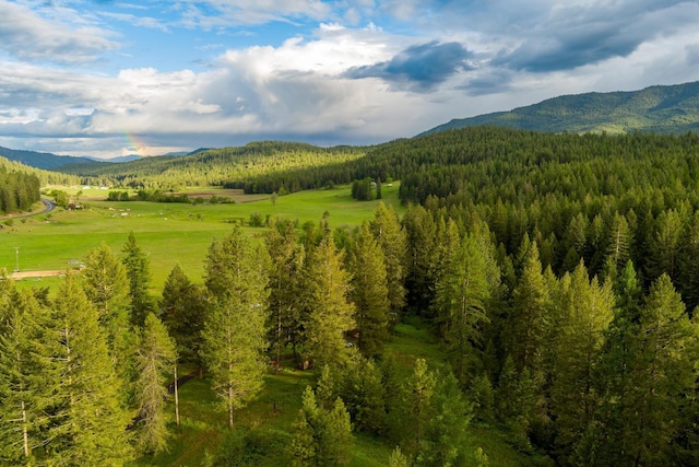 2063-A Marble Valley Basin Rd, Addy, WA 99101 - mountain view with a heavily wooded area
