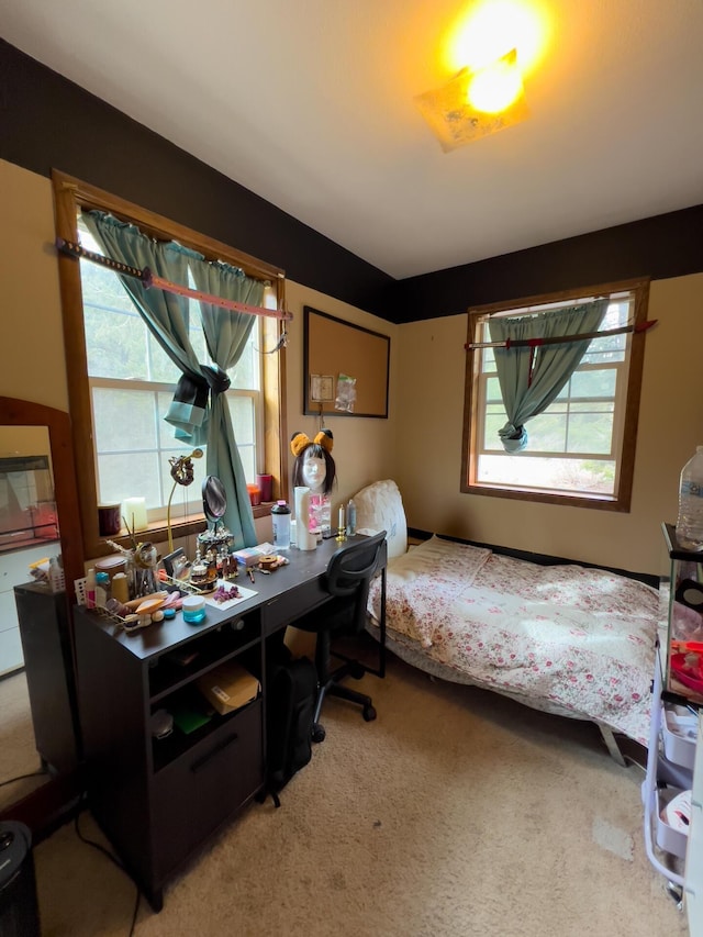 2063-A Marble Valley Basin Rd, Addy, WA 99101 - carpeted office with plenty of natural light