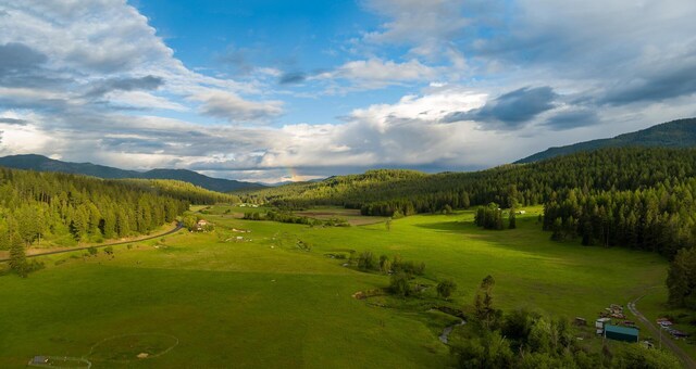 2063-A Marble Valley Basin Rd, Addy, WA 99101 - view of home's community featuring a mountain view and a forest view