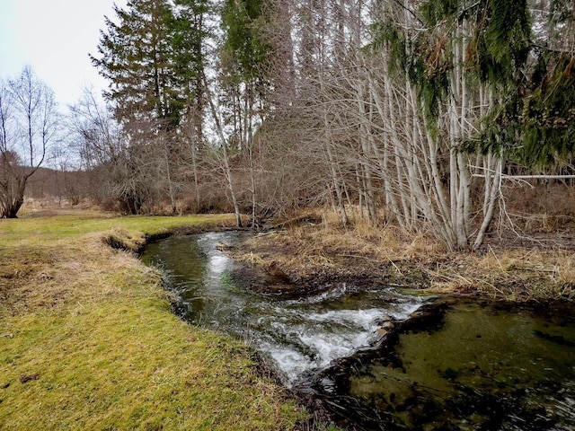 2063-A Marble Valley Basin Rd, Addy, WA 99101 - water view