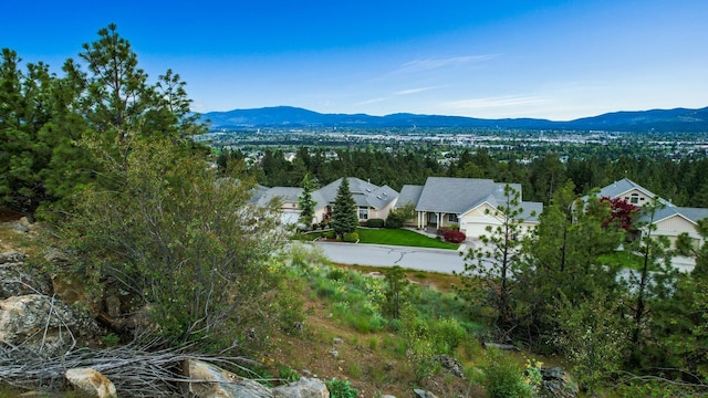 8418 E Blue Fox Ln, Spokane, WA 99217 - photo 12