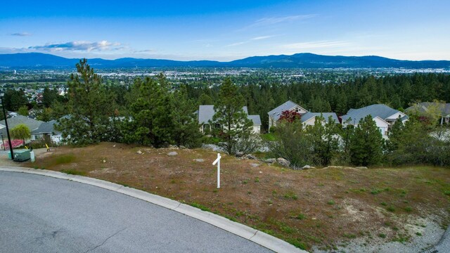 8418 E Blue Fox Ln, Spokane, WA 99217 - photo 5
