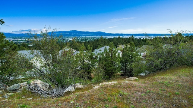 8418 E Blue Fox Ln, Spokane, WA 99217 - photo 8