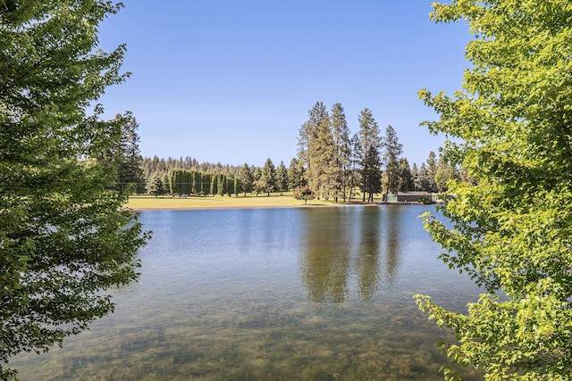 905 E Lakeview Ln, Spokane, WA 99208 - water view with a heavily wooded area