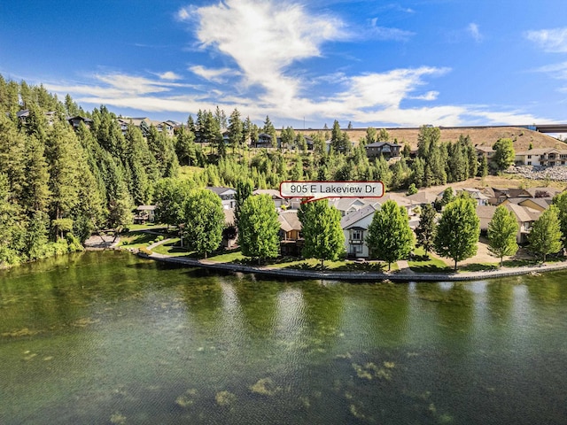905 E Lakeview Ln, Spokane, WA 99208 - aerial view of residential area featuring a large body of water
