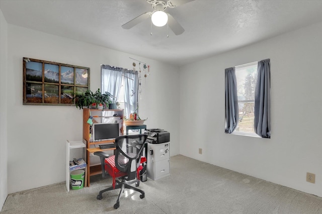 870 E 8th Ave, Colville, WA 99114 - office area with carpet and ceiling fan