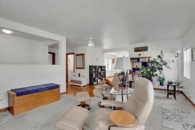 870 E 8th Ave, Colville, WA 99114 - living area with baseboards, a ceiling fan, and light carpet