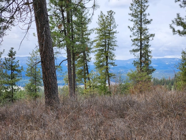 29XX Bakie Rd, Valley, WA 99181