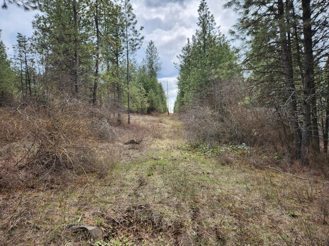 29XX Bakie Rd, Valley, WA 99181