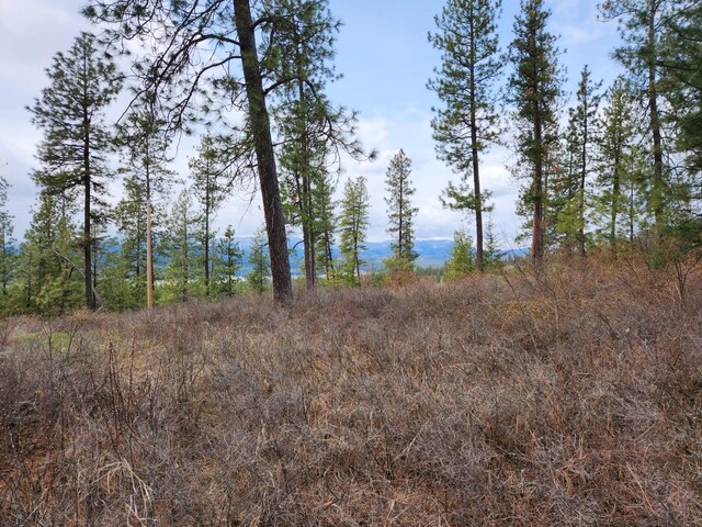 29XX Bakie Rd, Valley, WA 99181