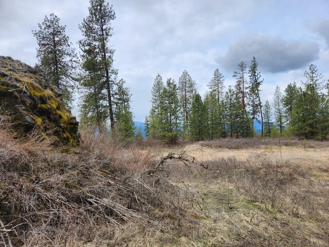 29XX Bakie Rd, Valley, WA 99181