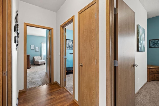 hall featuring baseboards, carpet, and wood finished floors