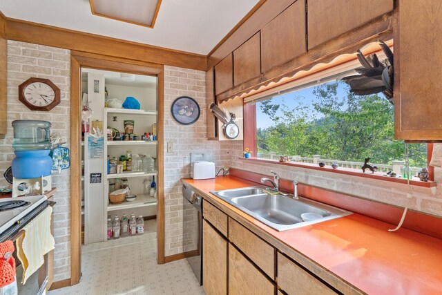 1791 S Leclerc Rd, Newport, WA 99156 - kitchen with a sink, black dishwasher, light countertops, white range with electric stovetop, and light floors