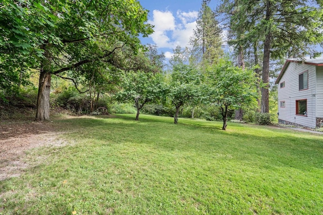 1791 S Leclerc Rd, Newport, WA 99156 - view of grassy yard