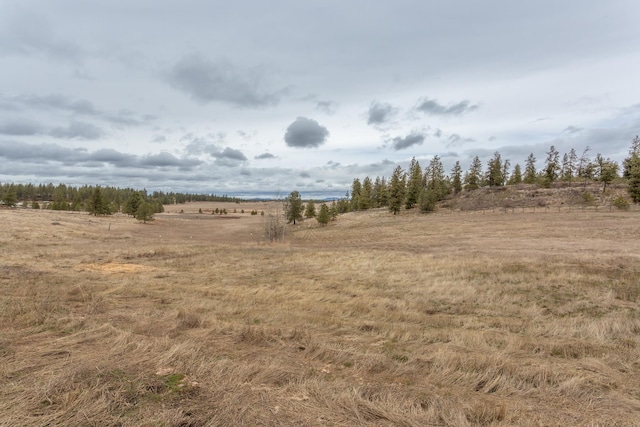 428 N Kynan Ln, Spokane, WA 99224 - view of local wilderness with a rural view