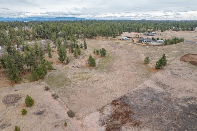 428 N Kynan Ln, Spokane, WA 99224 - aerial view featuring a wooded view, a mountain view, and a rural view