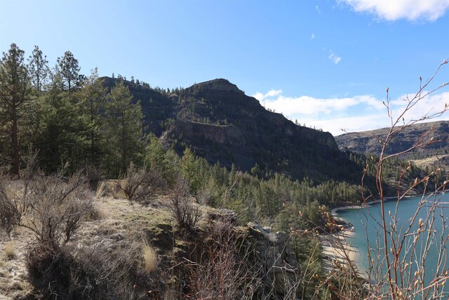 21155 Lake Roosevelt Dr E, Creston, WA 99117 - photo 4