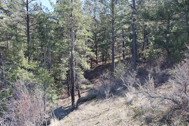 21155 Lake Roosevelt Dr E, Creston, WA 99117 - photo 6