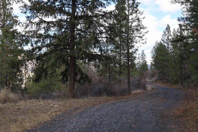 21155 Lake Roosevelt Dr E, Creston, WA 99117 - photo 8