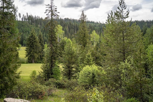 207 Long Dr Lot # 4, Priest Lake, ID 83856 - photo 1