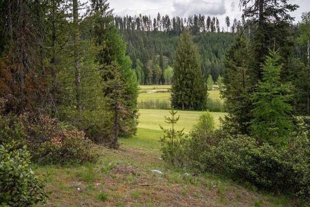 207 Long Dr Lot # 4, Priest Lake, ID 83856 - photo 11