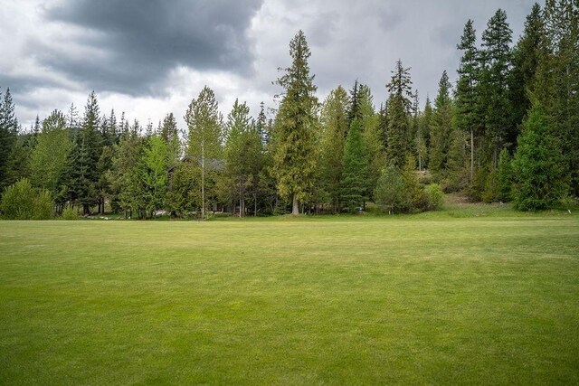207 Long Dr Lot # 4, Priest Lake, ID 83856 - photo 16