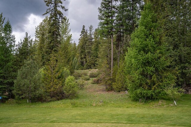 207 Long Dr Lot # 4, Priest Lake, ID 83856 - photo 18