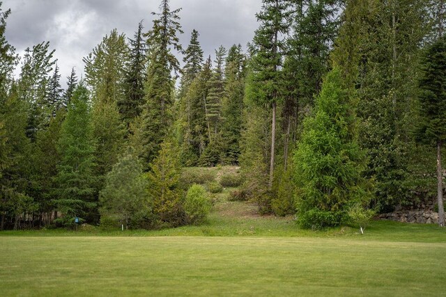207 Long Dr Lot # 4, Priest Lake, ID 83856 - photo 4