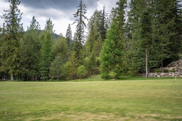 207 Long Dr Lot # 4, Priest Lake, ID 83856 - photo 7