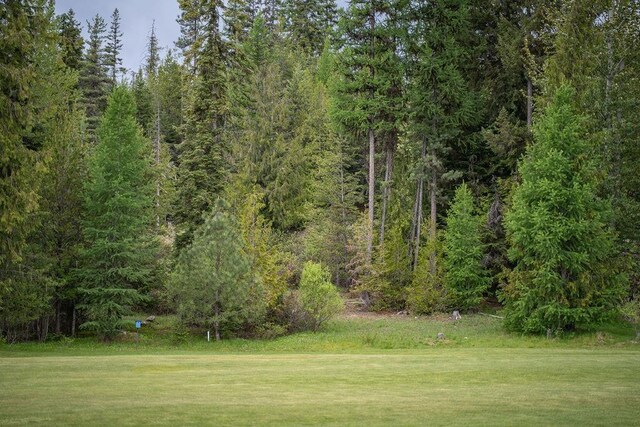 207 Long Dr Lot # 4, Priest Lake, ID 83856 - photo 10