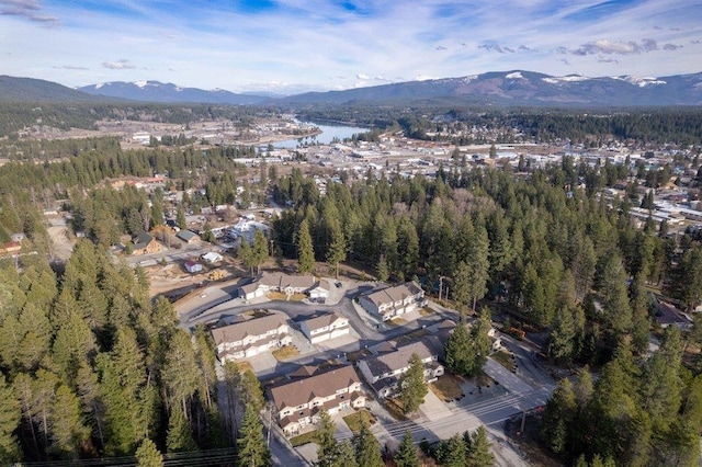 146 Laurelhurst Dr Unit 146, Newport, WA 99156 - birds eye view of property featuring a water and mountain view and a view of trees
