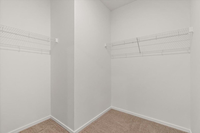 walk in closet featuring light carpet