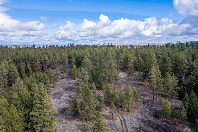 8700 S Stangland St, Medical Lake, WA 99022 - photo 5