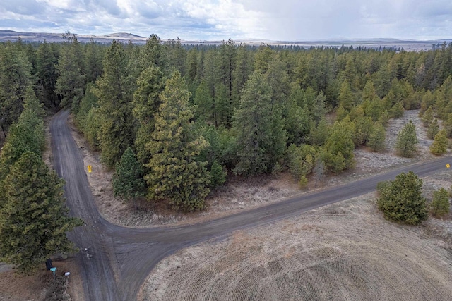 8700 S Stangland St, Medical Lake, WA 99022 - photo 6