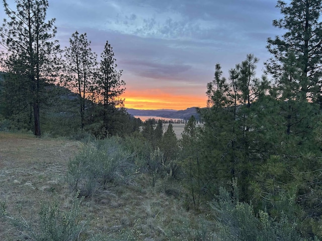 38800 E Sand Flats Dr, Davenport, WA 99122