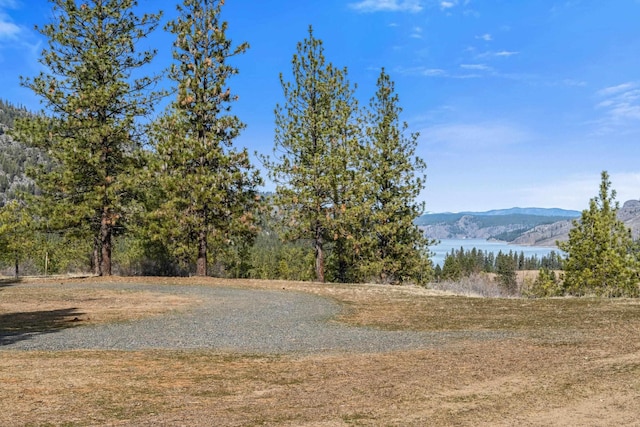38800 E Sand Flats Dr, Davenport, WA 99122