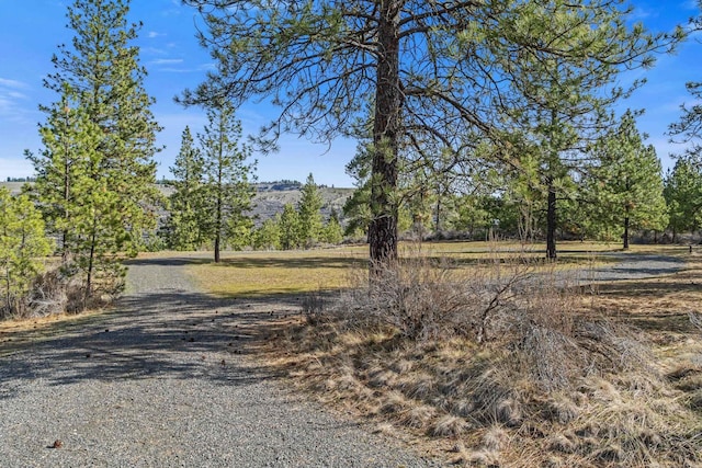 38800 E Sand Flats Dr, Davenport, WA 99122