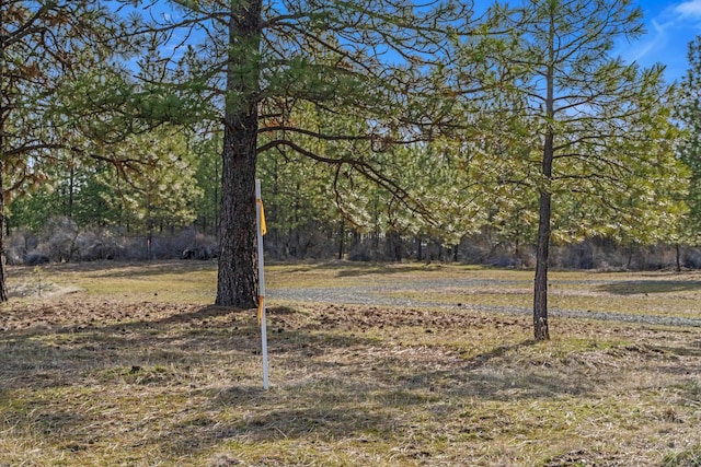 38800 E Sand Flats Dr, Davenport, WA 99122