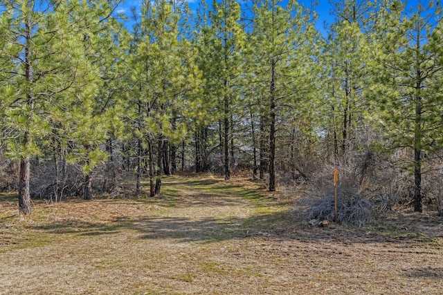 38800 E Sand Flats Dr, Davenport, WA 99122