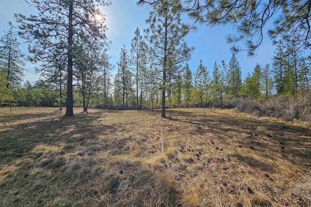 38800 E Sand Flats Dr, Davenport, WA 99122