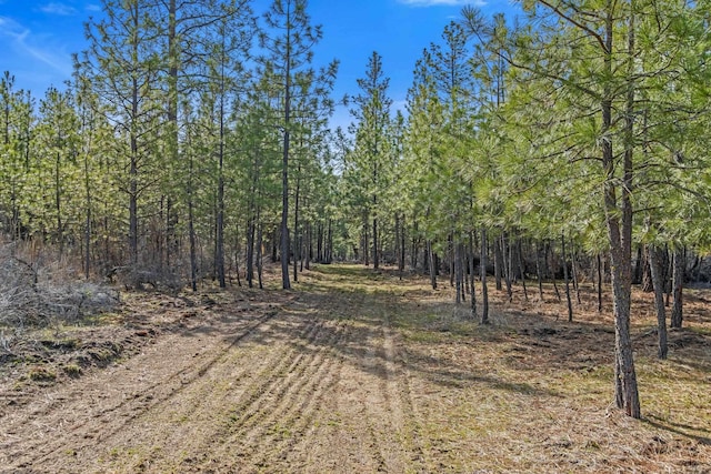 38800 E Sand Flats Dr, Davenport, WA 99122
