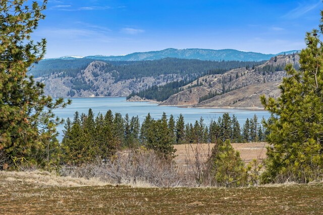 38800 E Sand Flats Dr, Davenport, WA 99122